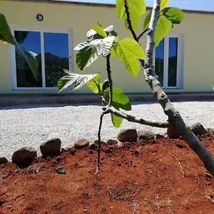 La Casa Dei Fichi Casa vacanze Porto Azzurro